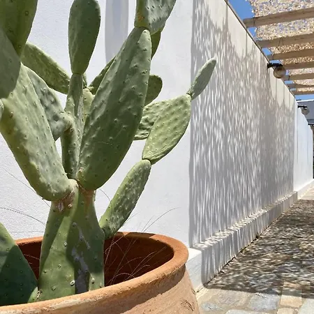 Fikas 호텔 Naxos City
